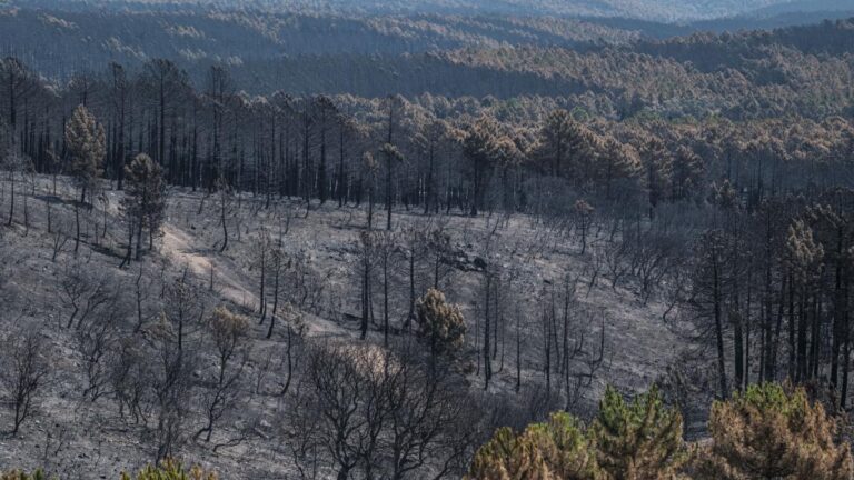 Incendios, la próxima vez