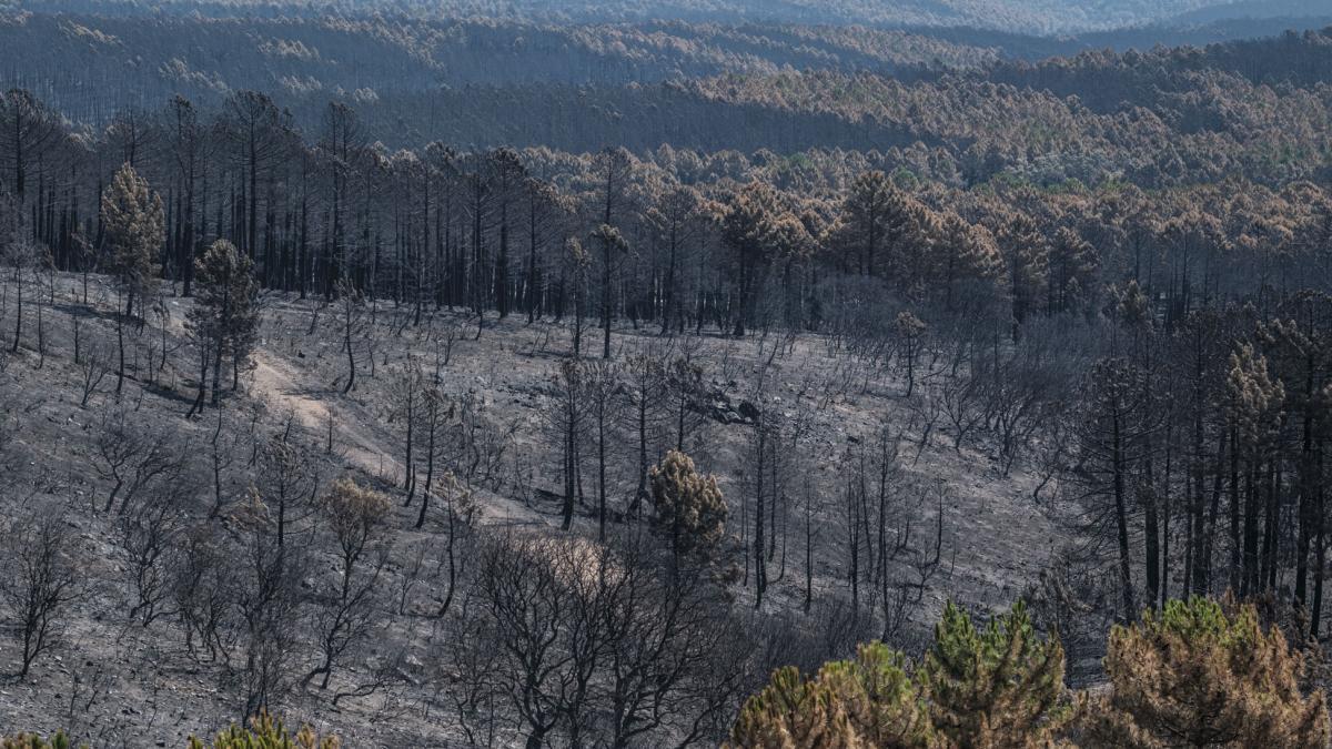 Incendios, la próxima vez