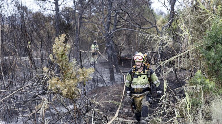 El grave incendio de El Saler provoca un nuevo fuego entre los partidos en València