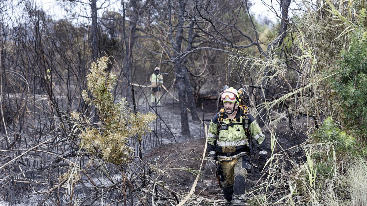 El grave incendio de El Saler provoca un nuevo fuego entre los partidos en València