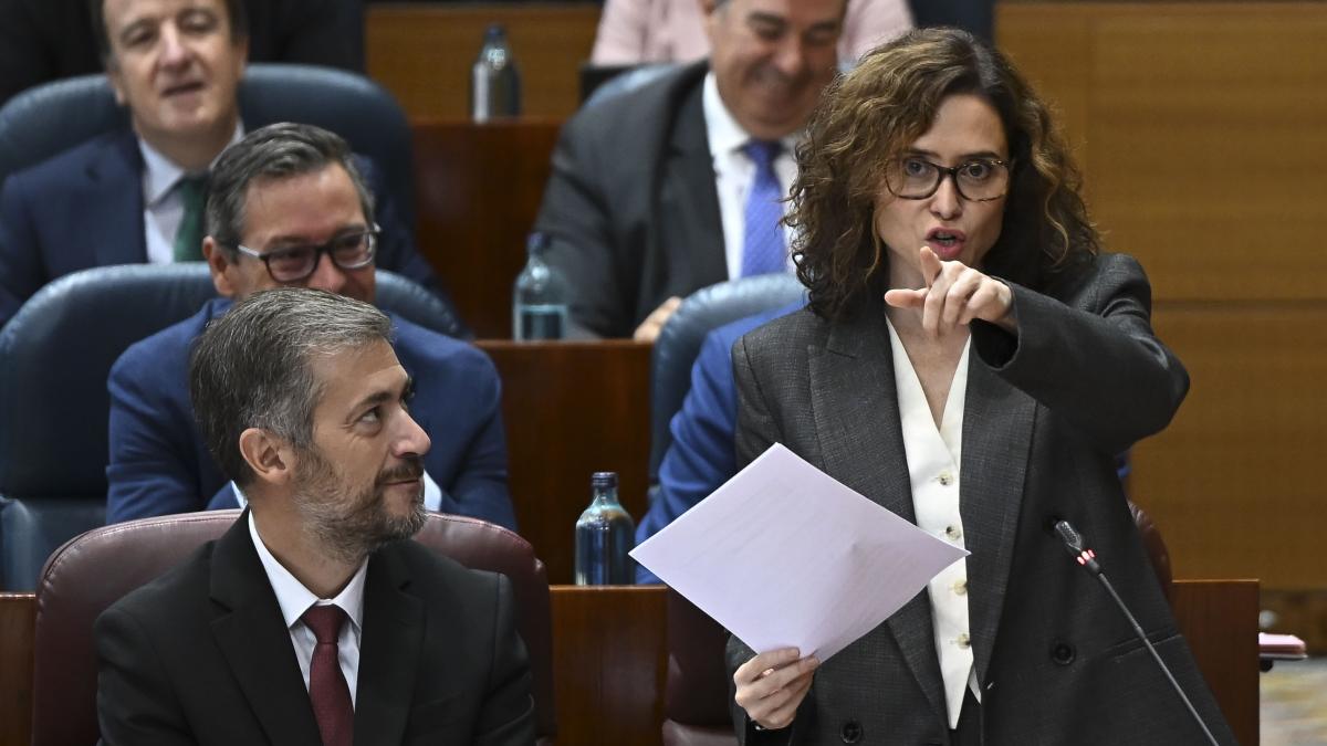 Pleno en la Asamblea de Madrid