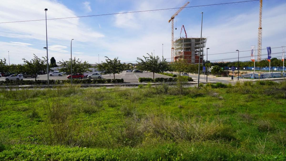 Paterna sorprende a promotores y se lleva en subasta un suelo de 15.000 m2 para hacer VPP